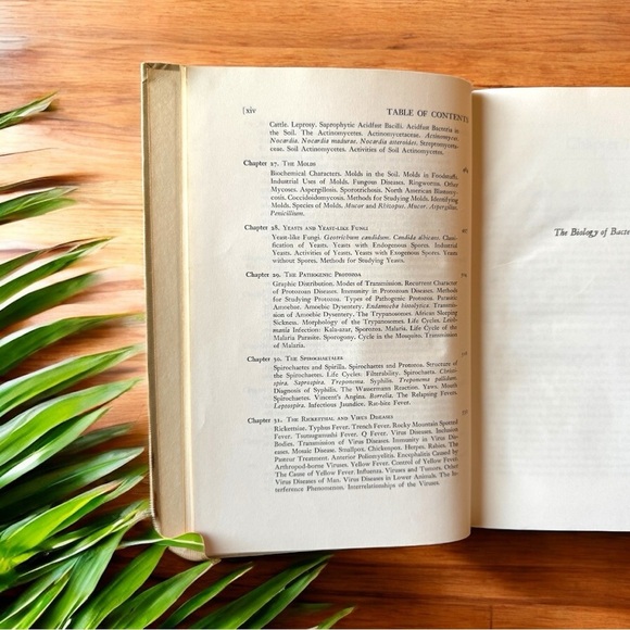 VINTAGE 1945 “The Biology of Bacteria” by Arthur T. Henrici - Hardcover - Picture 10 of 12